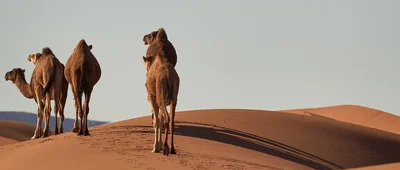 Marokko mit i+r Tours erleben