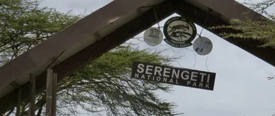 Erleben Sie die atemberaubende Tierwelt in Tansania