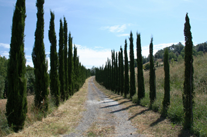 Toskana2-tuscany-221566-1920-Pixabay.jpg