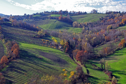 Emilia2-Parma-valtercirillo-langhirano-1900466.jpg