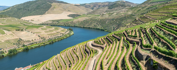 Flusskreuzfahrt Dourotal - Spektakuläre Weinberge