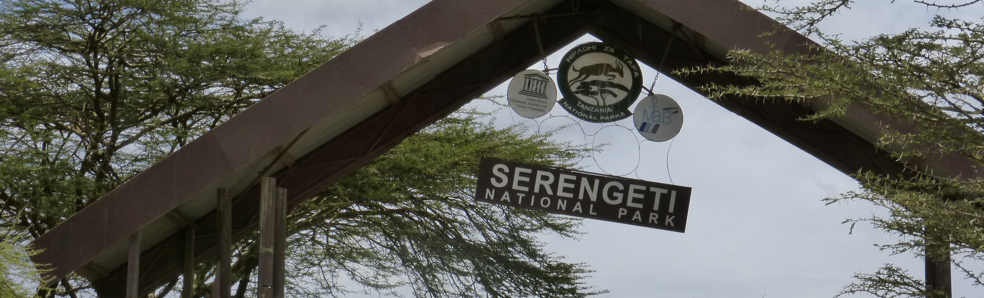 Erleben Sie die atemberaubende Tierwelt in Tansania